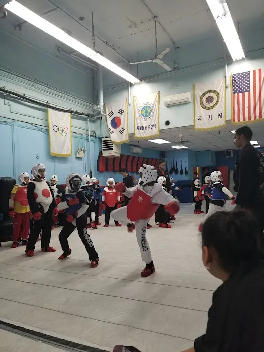 USA Martial Arts Fighting Picture 1
