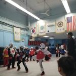 USA Martial Arts Fighting