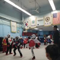 USA Martial Arts Fighting ico