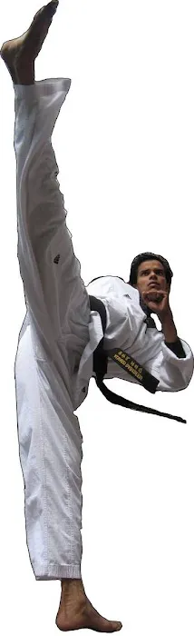 USA Martial Arts Fighting Picture 3