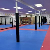 American Korean Taekwondo Team Center ico