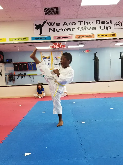 American Korean Taekwondo Team Center Picture 10