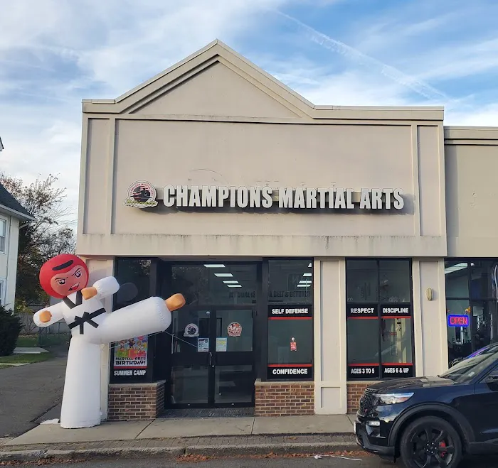 Champions Martial Arts Dumont Picture 4
