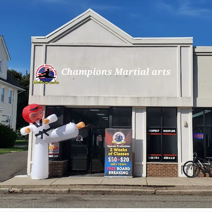 Champions Martial Arts Dumont Picture 8