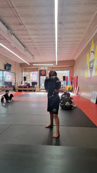 FKA Martial Arts Picture 1