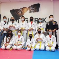 ONE Taekwondo (US TIGER K Taekwondo) ico