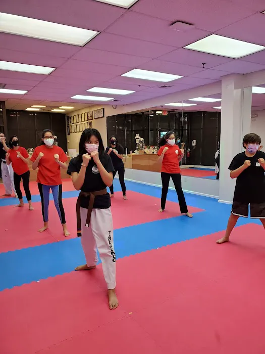 ONE Taekwondo (US TIGER K Taekwondo) Picture 4