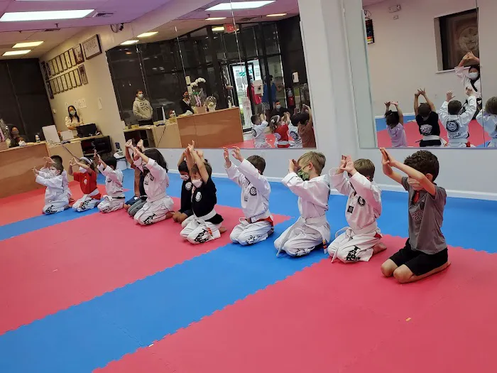 ONE Taekwondo (US TIGER K Taekwondo) Picture 5