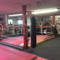 ASIAN KARATE INSTITUTE ico