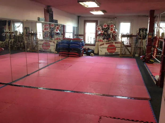ASIAN KARATE INSTITUTE Picture 2