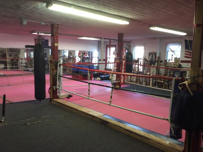 ASIAN KARATE INSTITUTE Picture 4