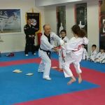 Hosan Taekwondo at Glen Rock