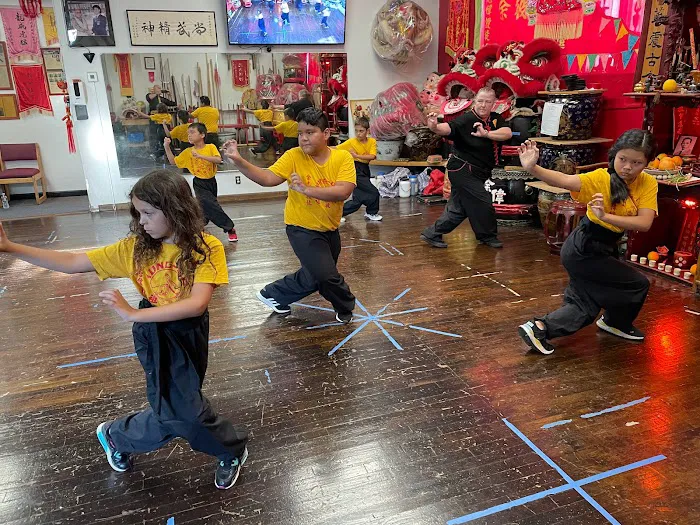 Yees Hung Ga Kung Fu Academy Picture 8