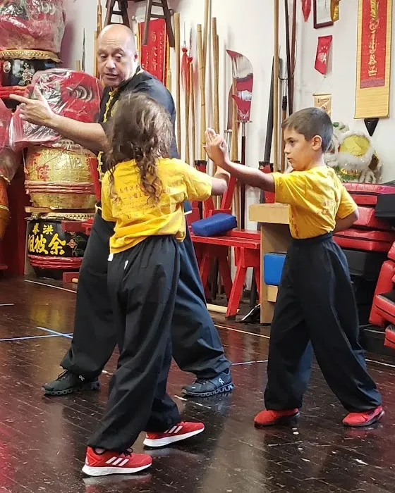 Yees Hung Ga Kung Fu Academy Picture 6