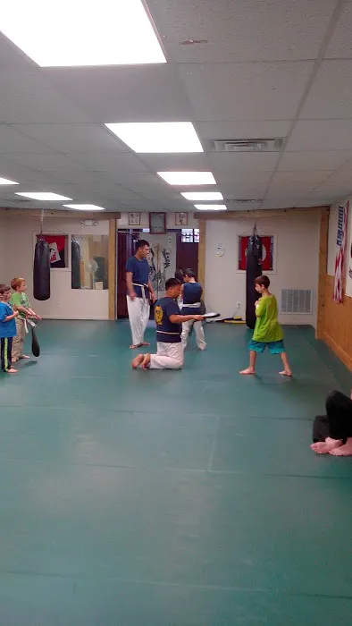 Modern American GoJu Picture 4