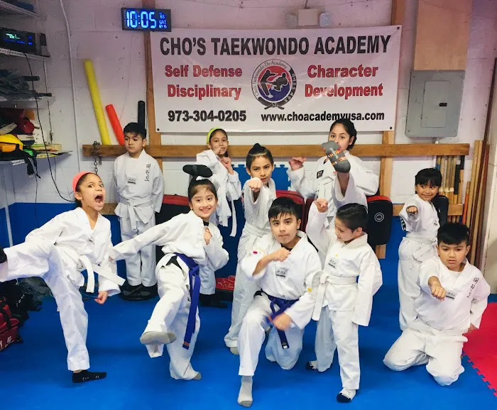 Transform Martial Arts (Cho's Taekwondo) Picture 6