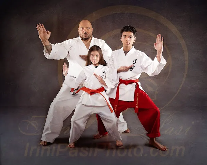 Woolridge's Karate & Fitness Picture 9