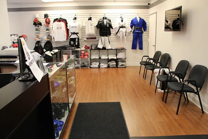 White Tiger Martial Arts Picture 1