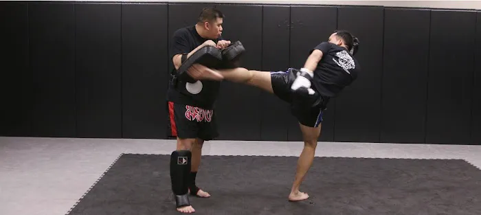 White Tiger Martial Arts Picture 7