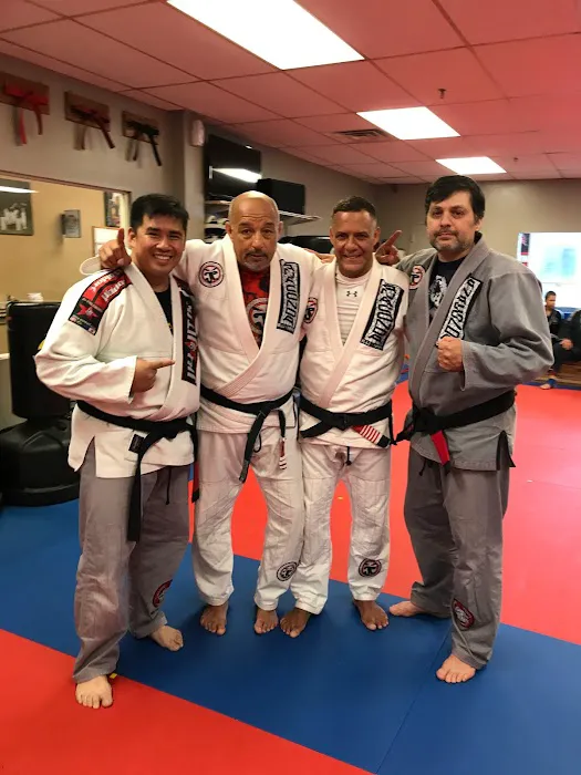 White Tiger Martial Arts Picture 10