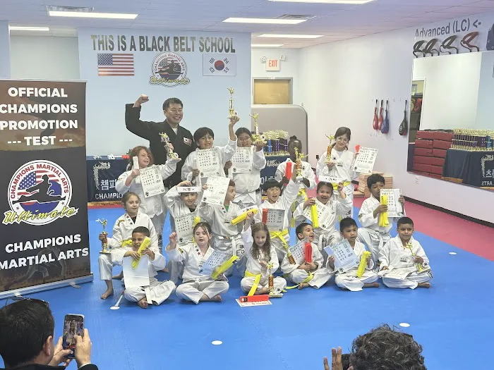 Champions Martial Arts New Milford Picture 3