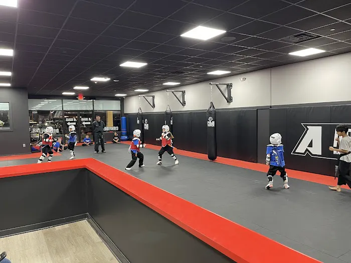Absolute Martial Arts Picture 3