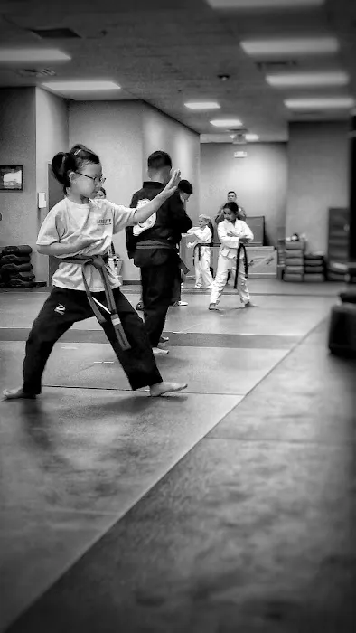 Absolute Martial Arts Picture 2