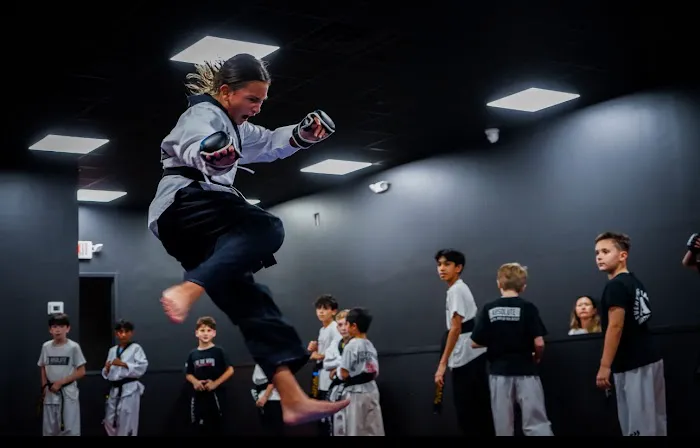 Absolute Martial Arts Picture 4