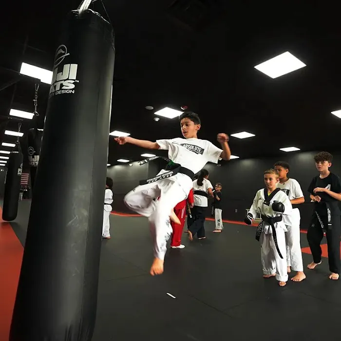 Absolute Martial Arts Picture 9