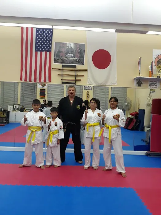 Dan's School of Martial Arts Picture 3