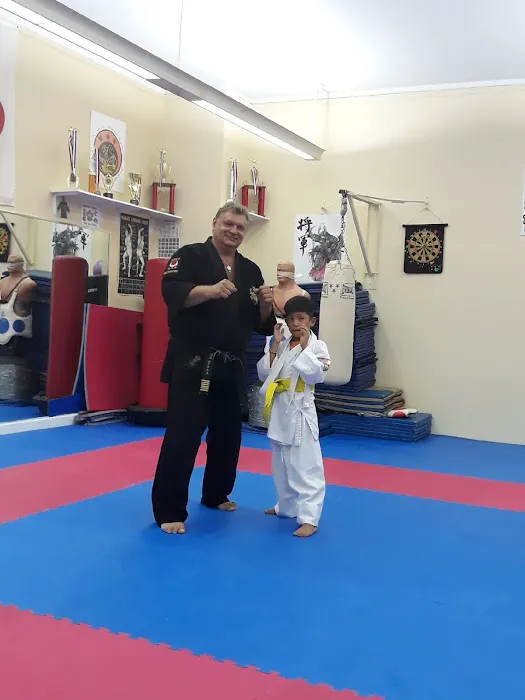 Dan's School of Martial Arts Picture 9