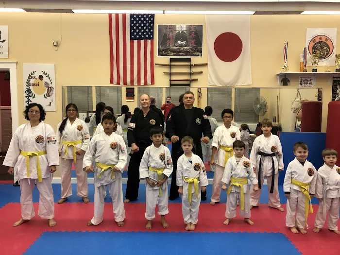 Dan's School of Martial Arts Picture 7