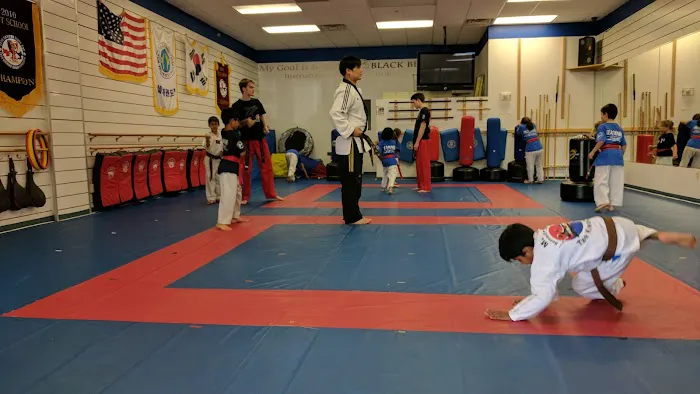 Master Moon Summit Martial Arts of Basking Ridge Picture 1