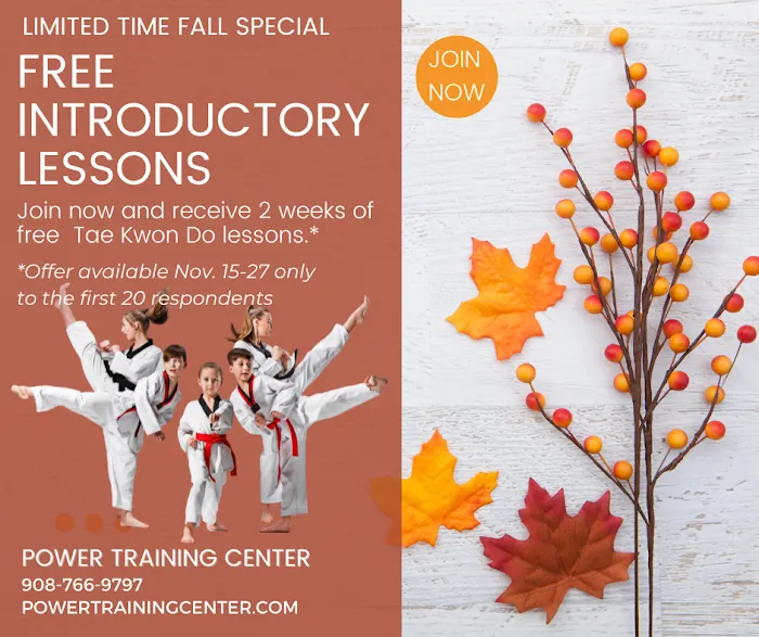 Power Training Center Tae Kwon Do Picture 10