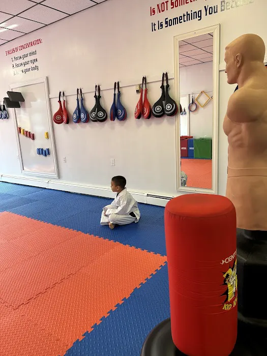 SPavlou TaeKwonDo Picture 3