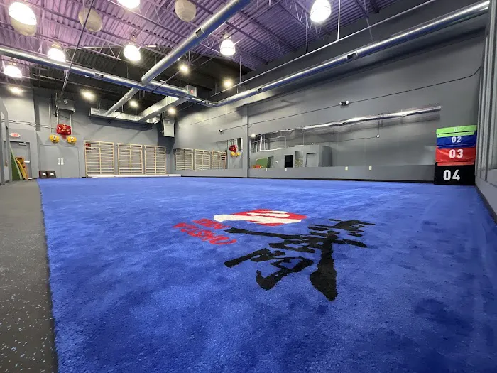 Zen Wushu Academy Picture 2
