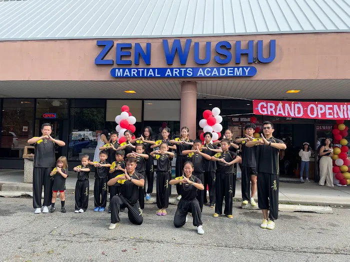 Zen Wushu Academy Picture 4