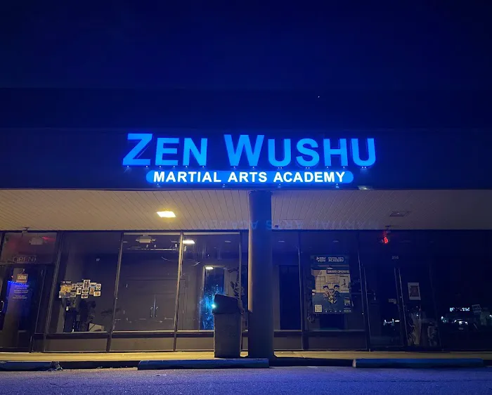 Zen Wushu Academy Picture 7