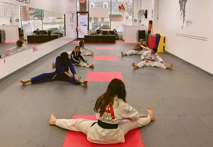 Able Martial art / Taekwondo Picture 5