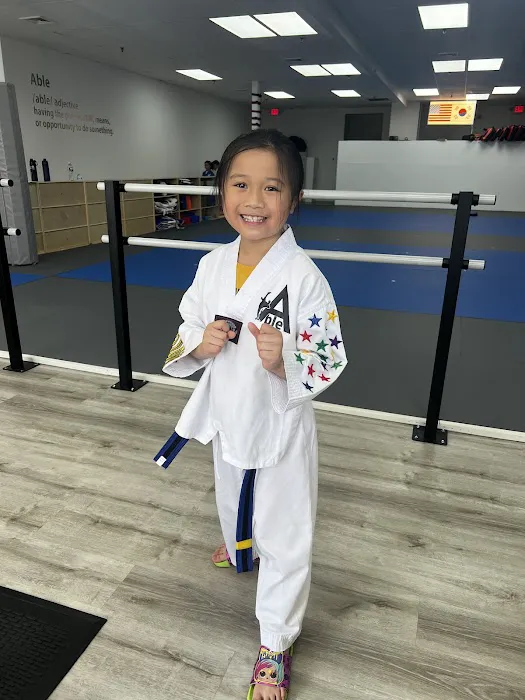 Able Martial art / Taekwondo Picture 4