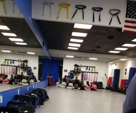 1 United MMA House