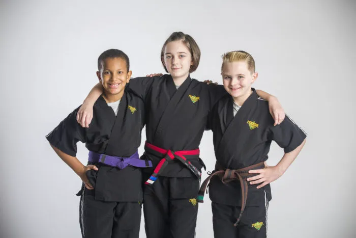 Premier Martial Arts Denville Picture 3