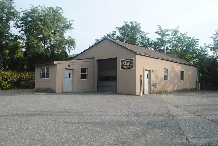 East Morris Karate Academy Picture 1