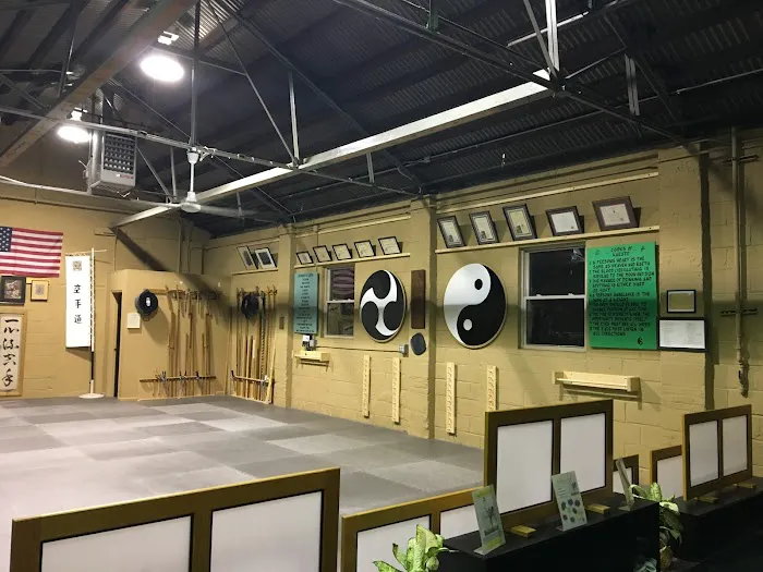 East Morris Karate Academy Picture 2