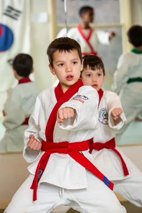 Chu's Academy of Martial Arts Picture 9