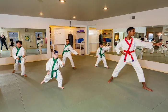 Chu's Academy of Martial Arts Picture 8