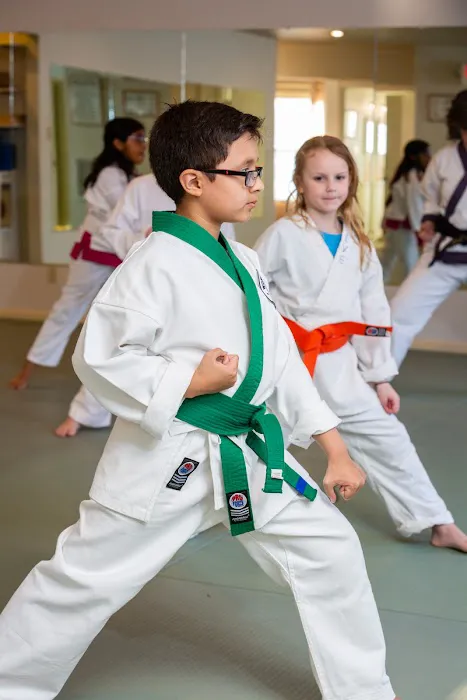 Chu's Academy of Martial Arts Picture 10