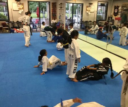 SKY Taekwondo