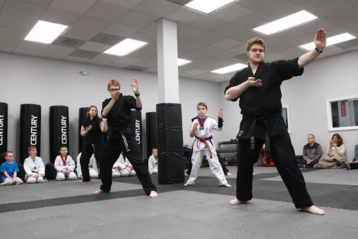 Ronin Martial Arts Picture 4