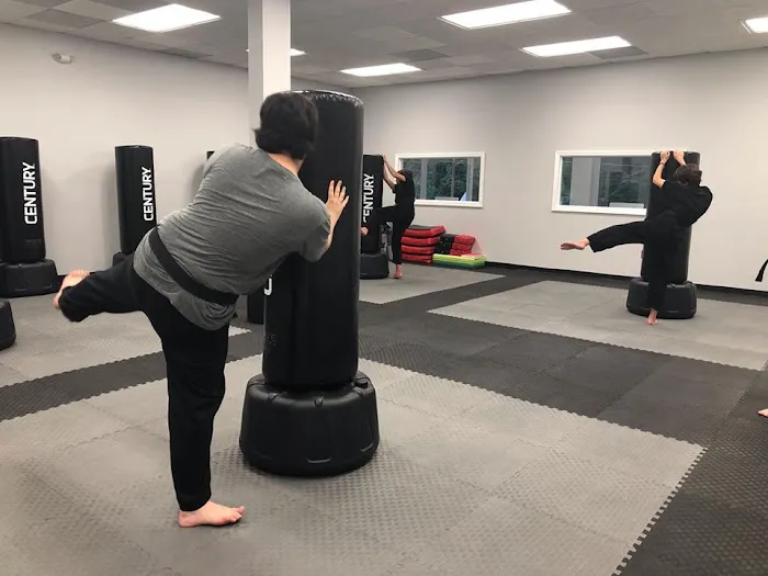 Ronin Martial Arts Picture 1